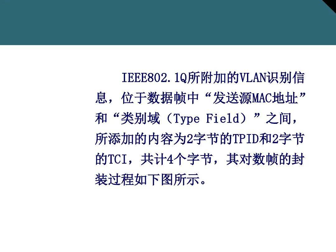 7777788888精准免费4肖,全面释义、解释与落实-警惕虚假宣传-全面释义、解释与落实