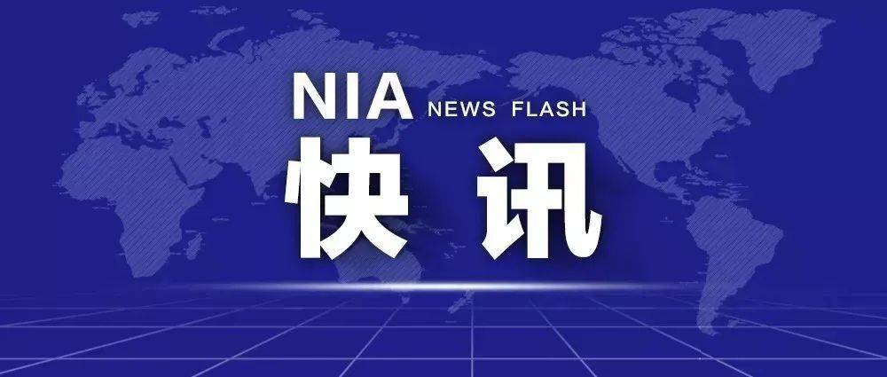 今晚澳门必开一肖一特与2025年新澳正版免费料与警惕虚假宣传-全面释义、解释与落实